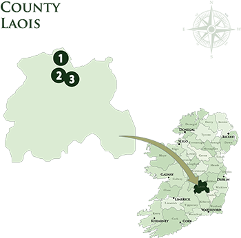 Mac Tours Ireland Laois Hotels Map