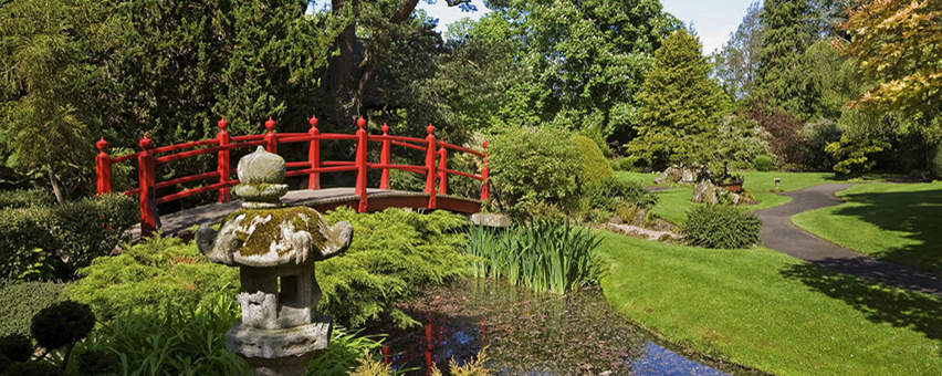 Mac Tours Ireland National Stud Japanese Gardens