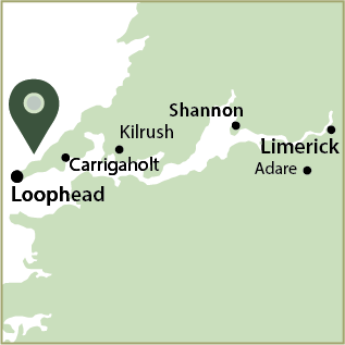 Mac Tours Ireland Day Tour Shannon Estuary Adventure 