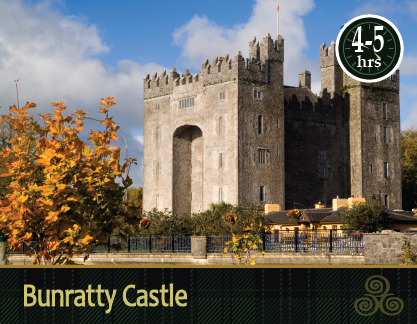 Mac Tours Ireland Half DayTours Bunratty Castle