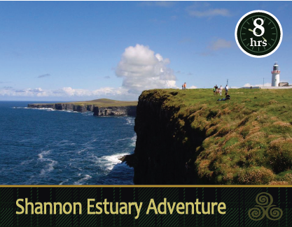 Mac Tours Ireland DayTours 5 Shannon Estuary Adventure