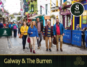 Mac Tours Ireland DayTours Galway & The Burren 
